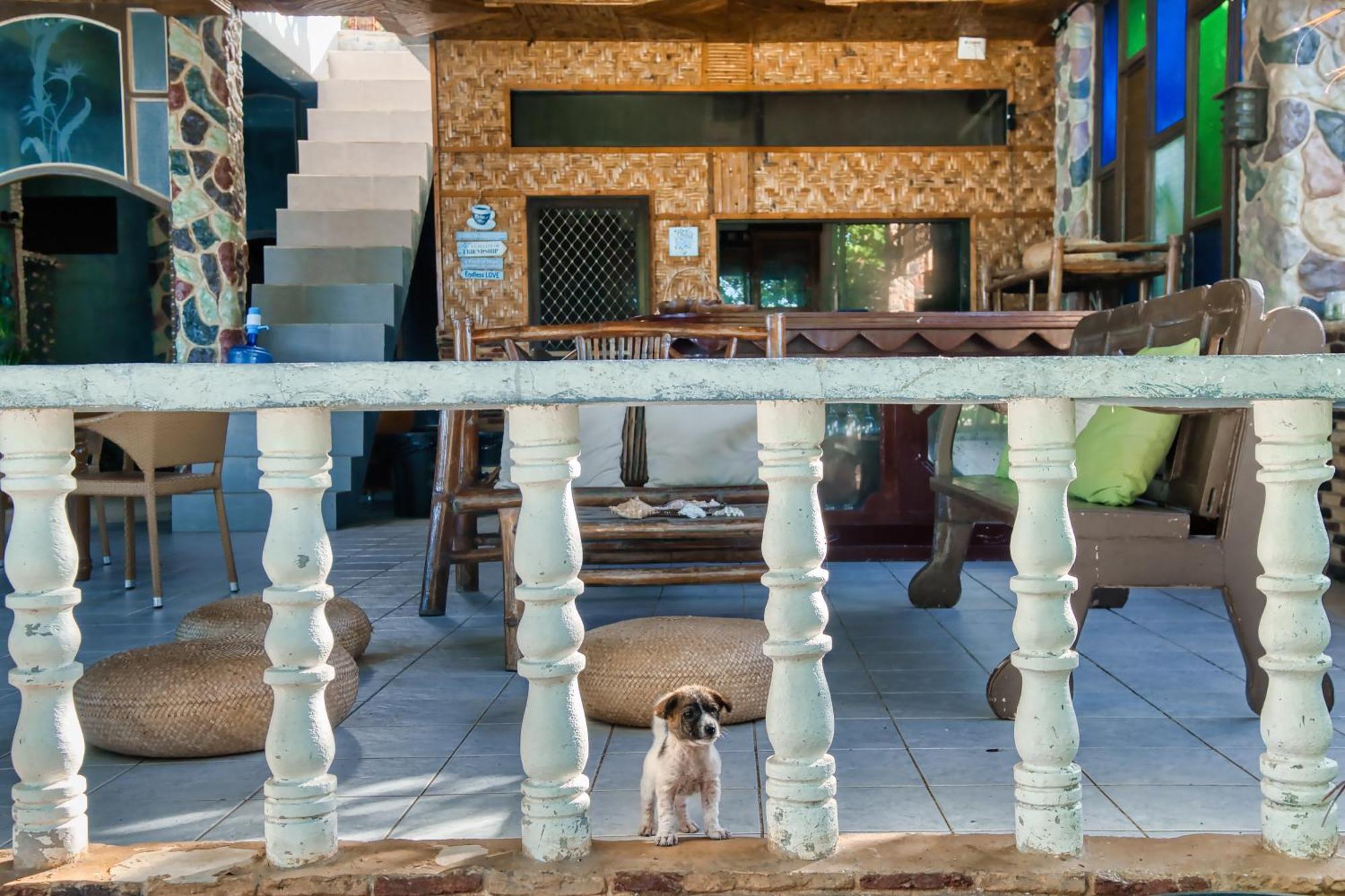 Pilar Pilapil Beach Resort Daanbantayan Экстерьер фото